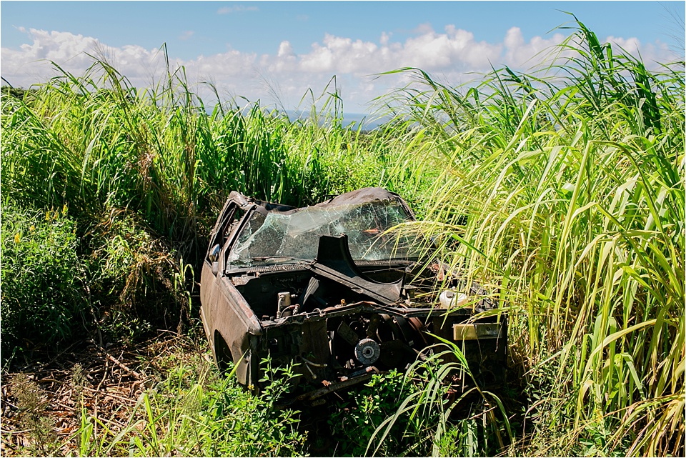 Hawaii Travel Destination Photography