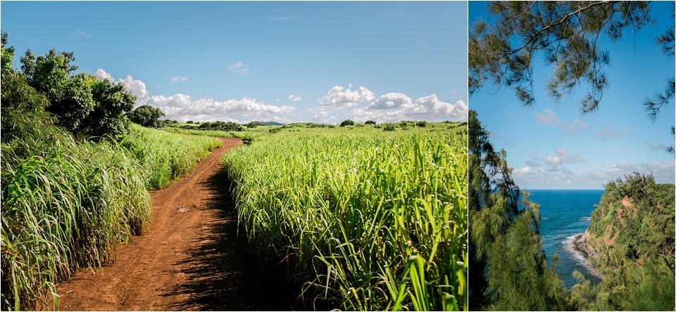 Hawaii Travel Destination Photography