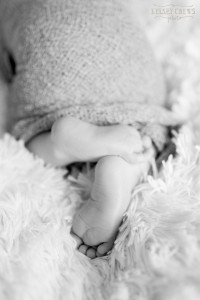 Newborn Portraits