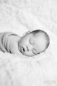 Newborn Portraits