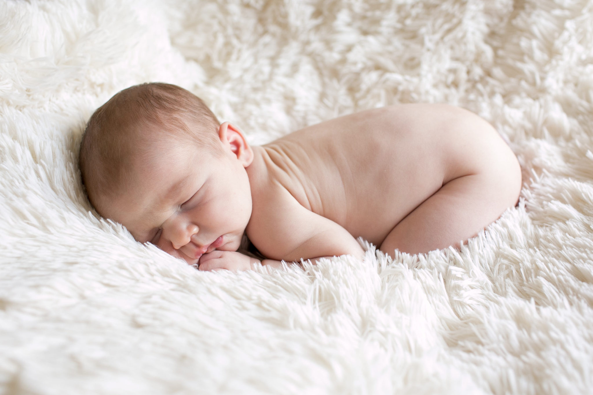 Santa Barbara Newborn Photography Portraits